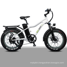 Green Beach E Bike with Fat Tire Cheap Electric Bicycle